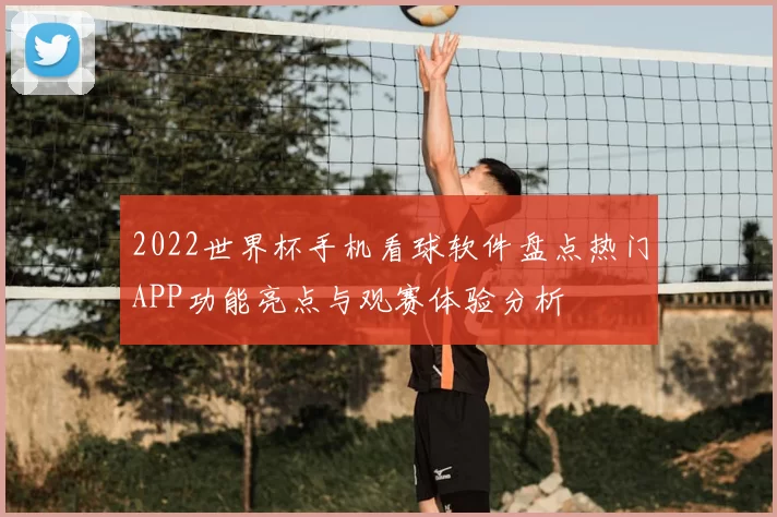 2022世界杯手机看球软件盘点热门APP功能亮点与观赛体验分析