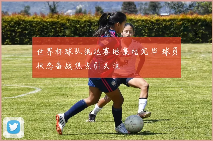 世界杯球队抵达赛地集结完毕 球员状态备战焦点引关注