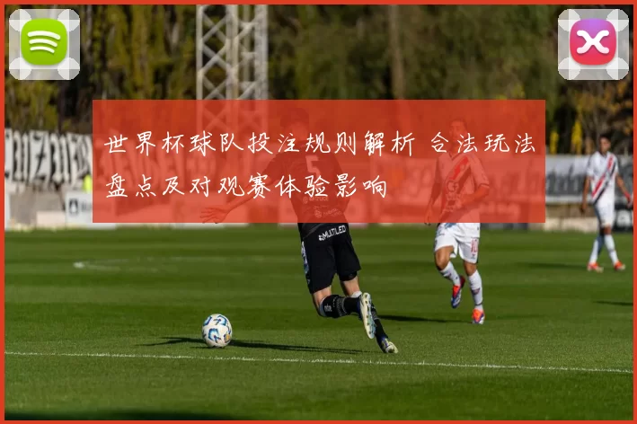 世界杯球队投注规则解析 合法玩法盘点及对观赛体验影响