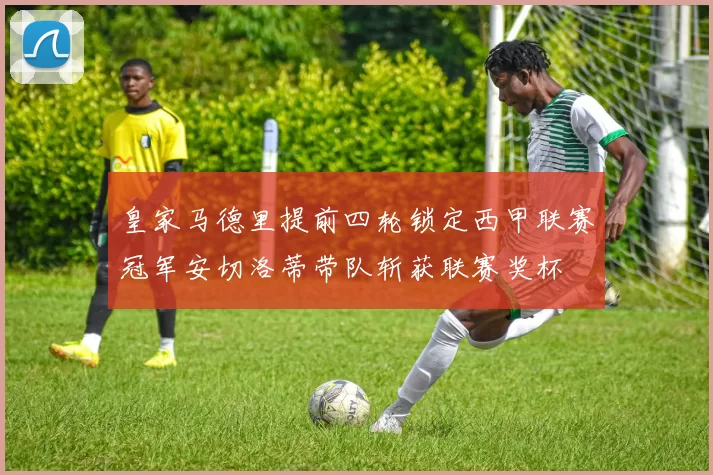 皇家马德里提前四轮锁定西甲联赛冠军安切洛蒂带队斩获联赛奖杯