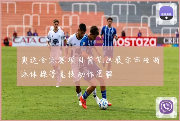 奥运会比赛项目简笔画展示田径游泳体操等竞技动作图解