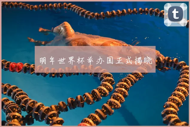 明年世界杯举办国正式揭晓