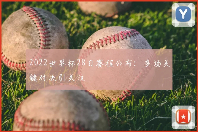 2022世界杯28日赛程公布:多场关键对决引关注